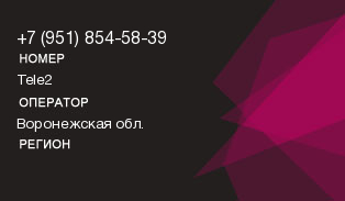 9518545839